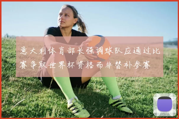 意大利体育部长强调球队应通过比赛争取世界杯资格而非替补参赛