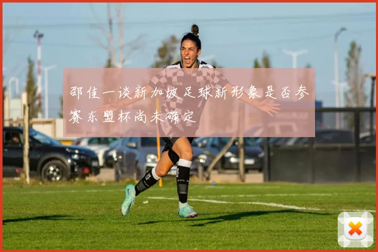 邵佳一谈新加坡足球新形象是否参赛东盟杯尚未确定
